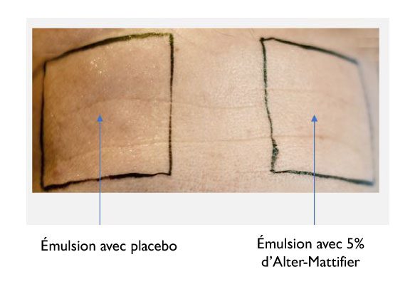 Alter-Mattifier est une poudre matifiante naturelle, idéale pour absorber l’excès de sébum et éliminer instantanément les zones de brillance de la peau, notamment sur la zone T du visage. Alternative aux microplastiques synthétiques (interdits par la réglementation européenne), Alter-Mattifier est entièrement biodégradable.