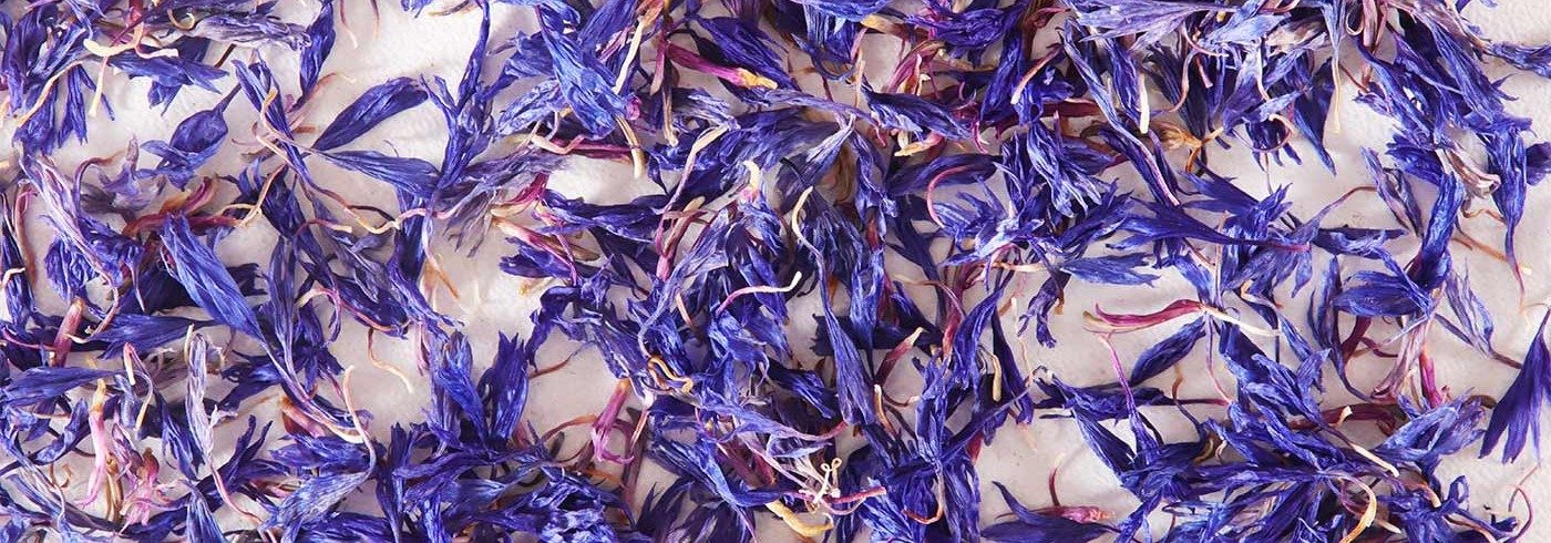 Lessonia est un fabricant d'ingrédients cosmétique spécialisé dans les particules décoratives notamment dans les particules de fleurs.
